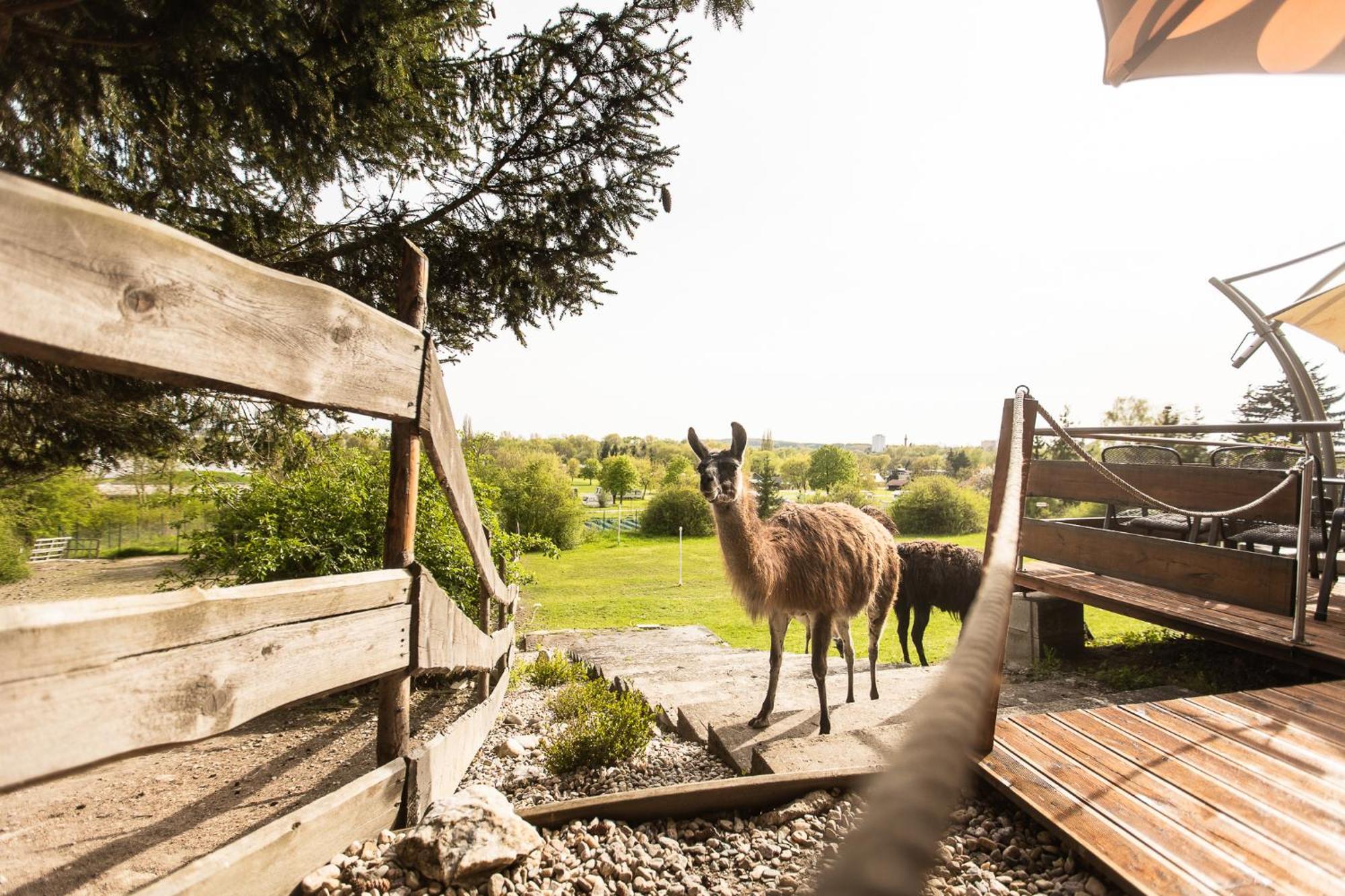 Hotel Rozkos Česká Skalice Bagian luar foto