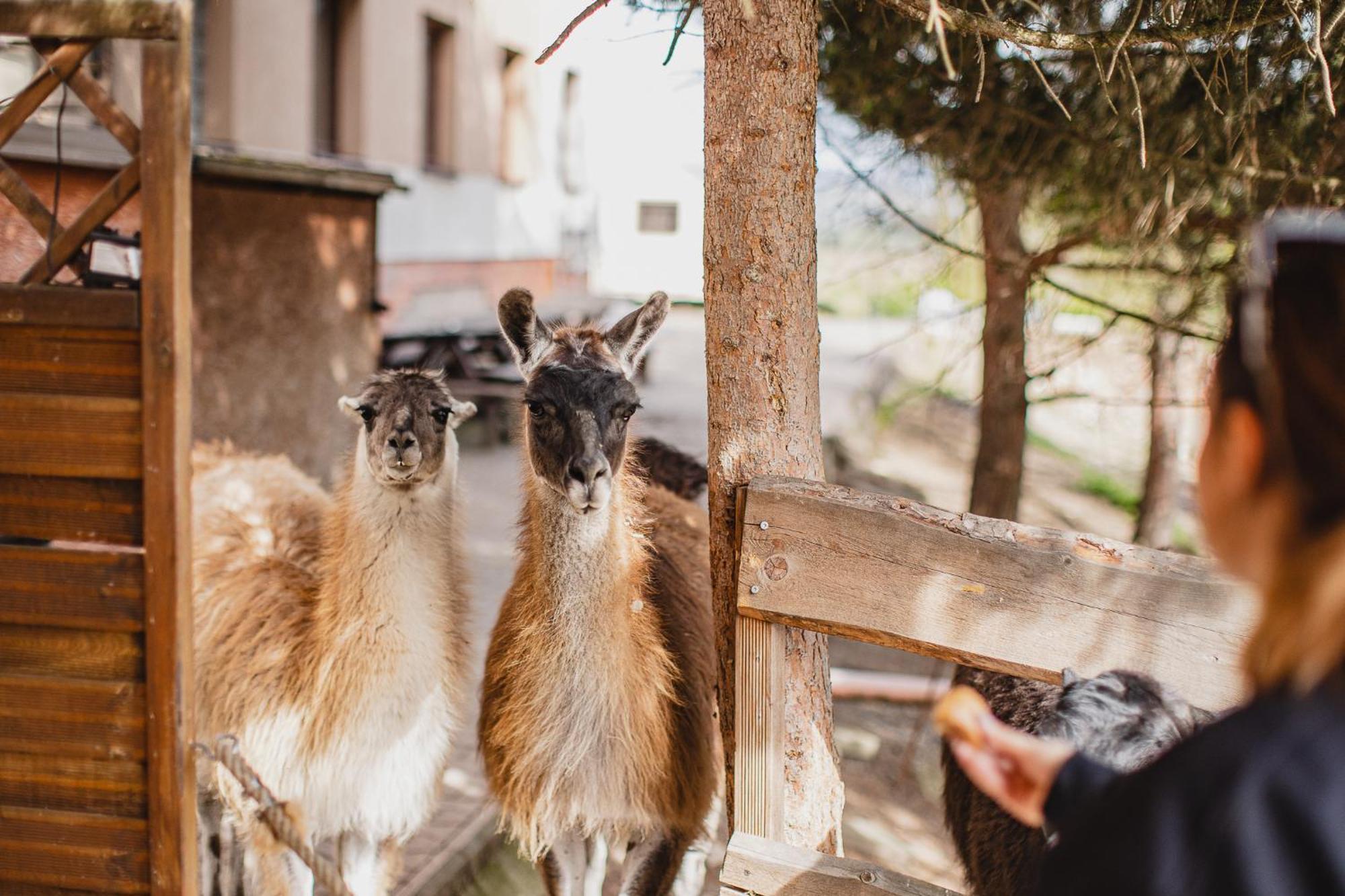 Hotel Rozkos Česká Skalice Bagian luar foto