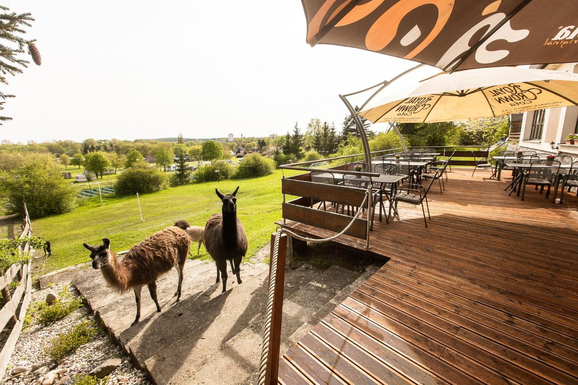 Hotel Rozkos Česká Skalice Bagian luar foto